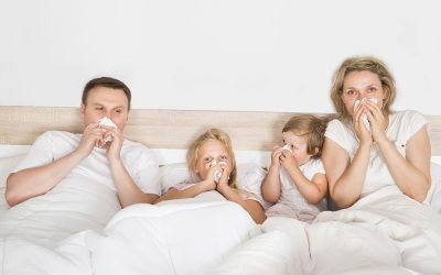 How to Optimize Your Home for the Best Indoor Air Quality