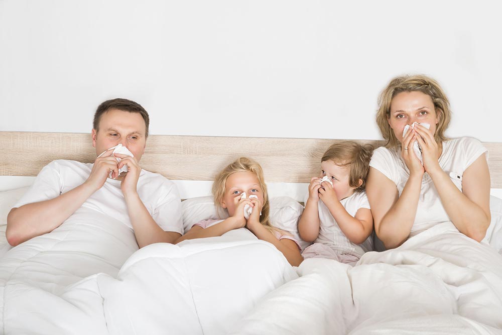 How to Optimize Your Home for the Best Indoor Air Quality